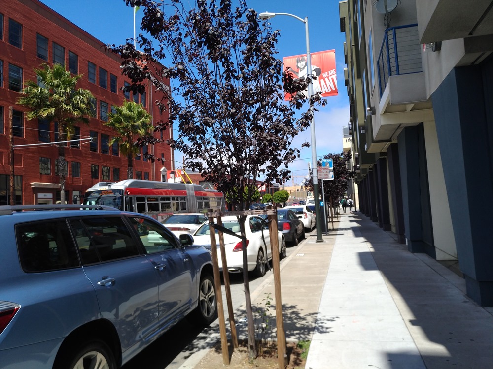 P_20160718_120209 P_20160718_120209