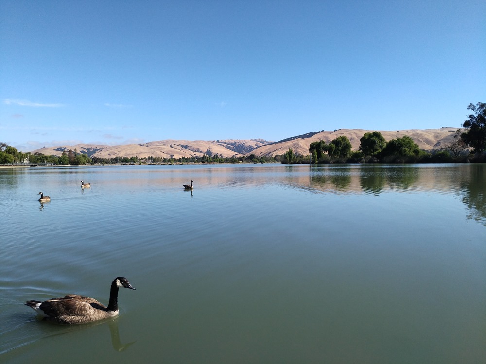 P_20160718_004701 P_20160718_004701