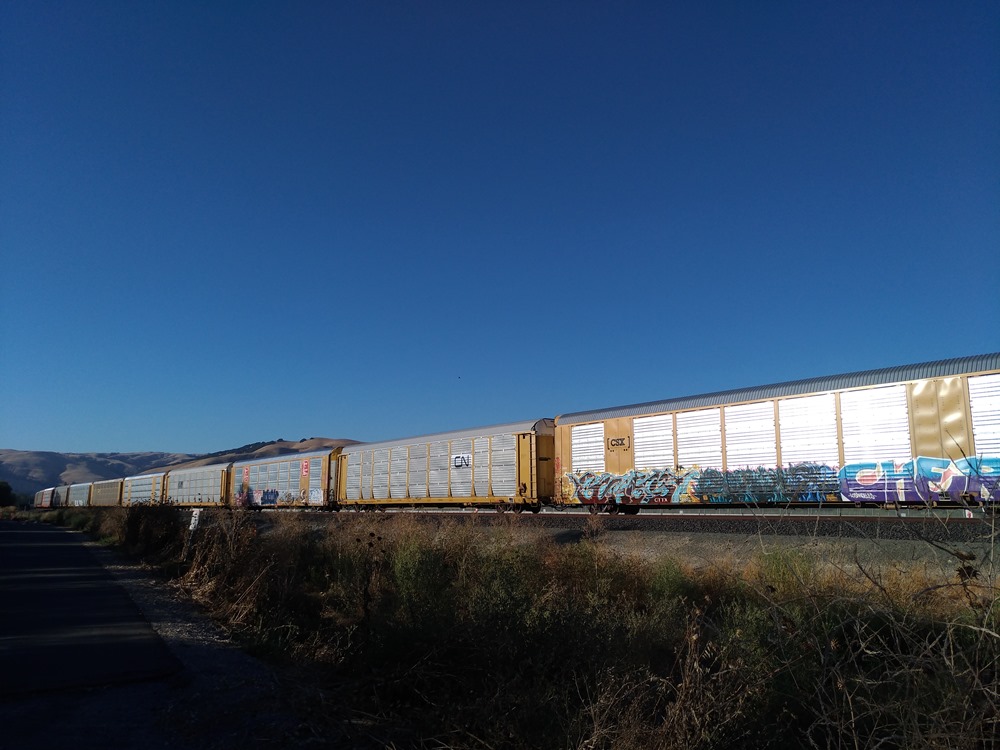 P_20160717_095458 P_20160717_095458