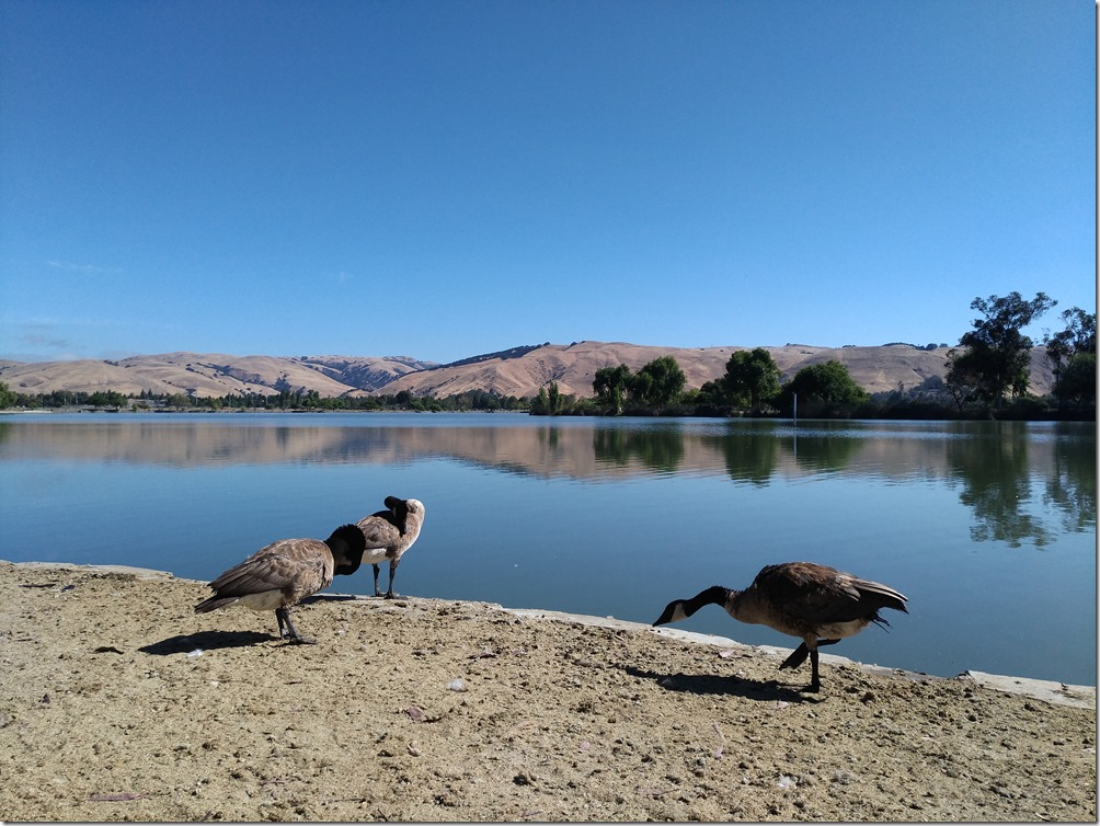 P_20160718_004821 P_20160718_004821