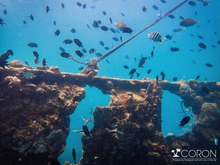科隆自由行,巴拉望科隆島,coron,科隆島沉船,科隆島浮潛,科隆島潛水