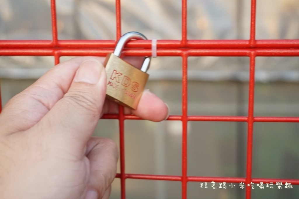 DSC09560.JPG DSC09560.JPG