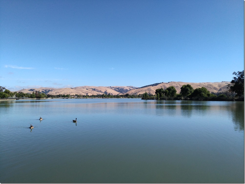 P_20160718_004655 P_20160718_004655