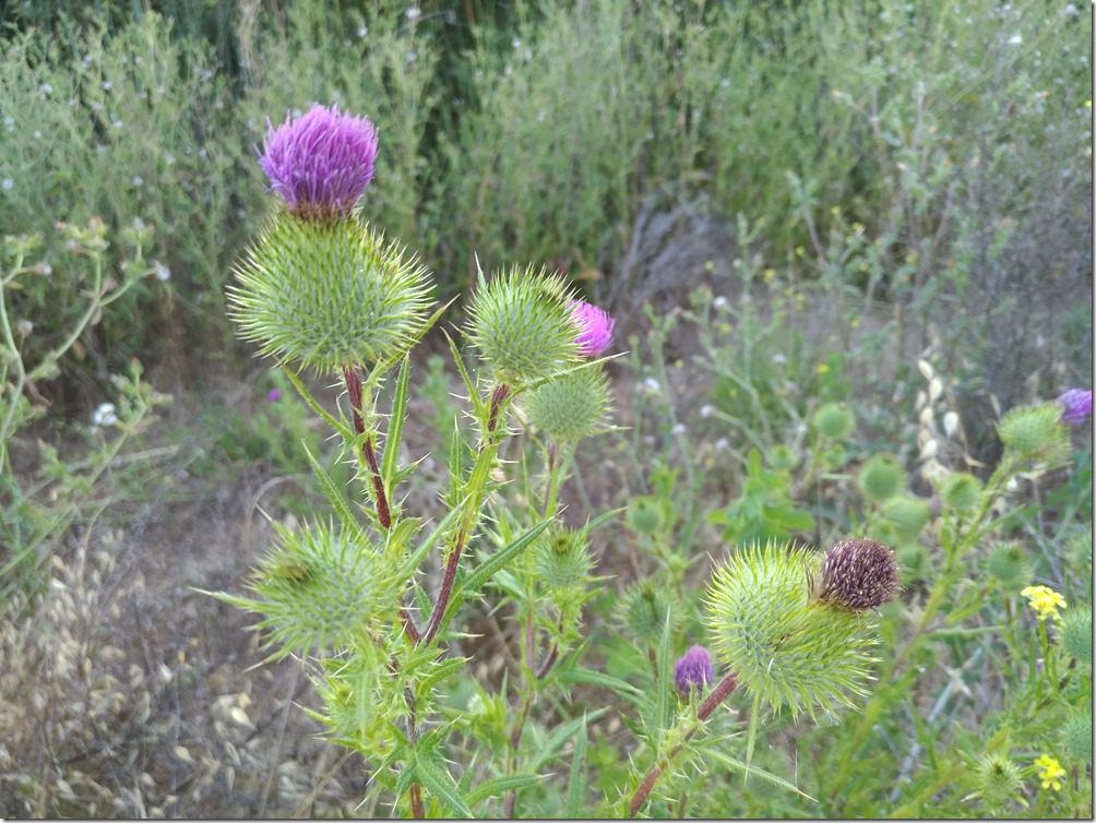 P_20160717_100634 P_20160717_100634