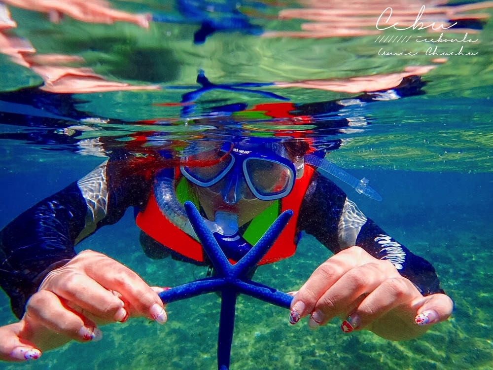宿霧自由行,海島旅行,鈦美,宿霧海龜,浮潛海龜,阿波島海龜,杜馬蓋地海龜,宿霧度假