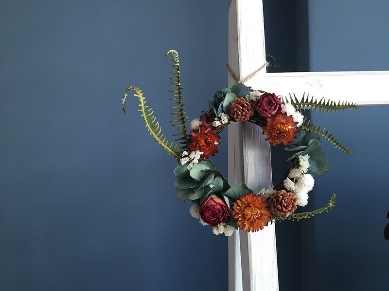 13738216_10207277204913802_7651732932508965601_o