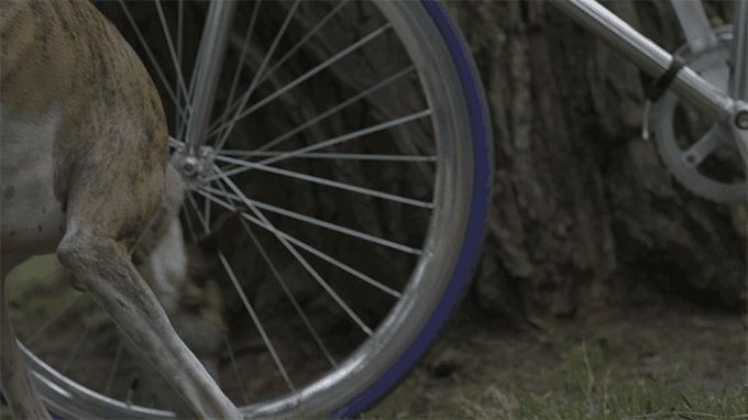 f36ff7c154a9b0c79b062a99d9746135_original