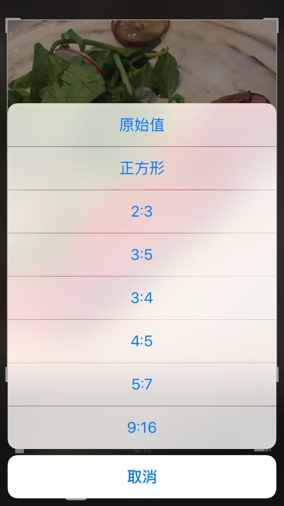 相片 2016-8-8 上午6 31 29