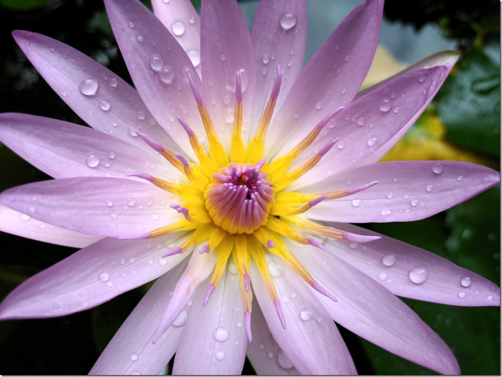 P_20160915_111644_vHDR_On P_20160915_111644_vHDR_On