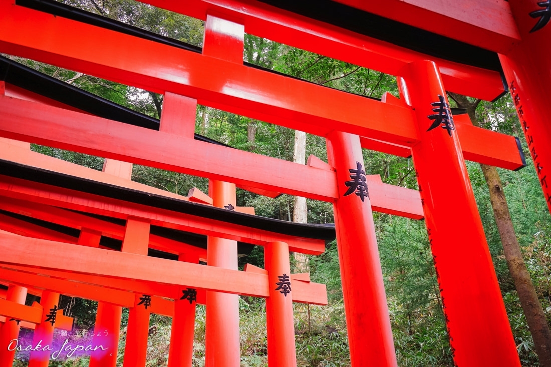 京都自由行,京都神社,京都好玩,京都景點,京都飯店推薦,京都住宿推薦,京都伏見稻荷