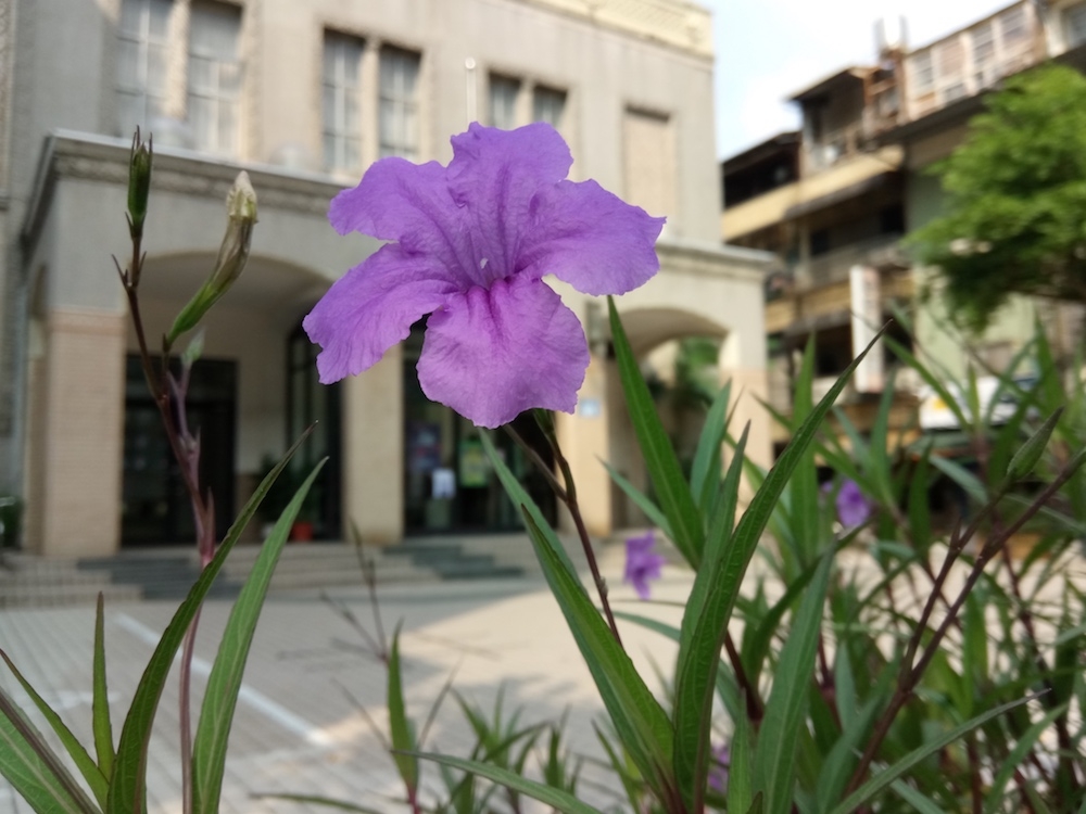 IMG_20160901_090442_Fotor