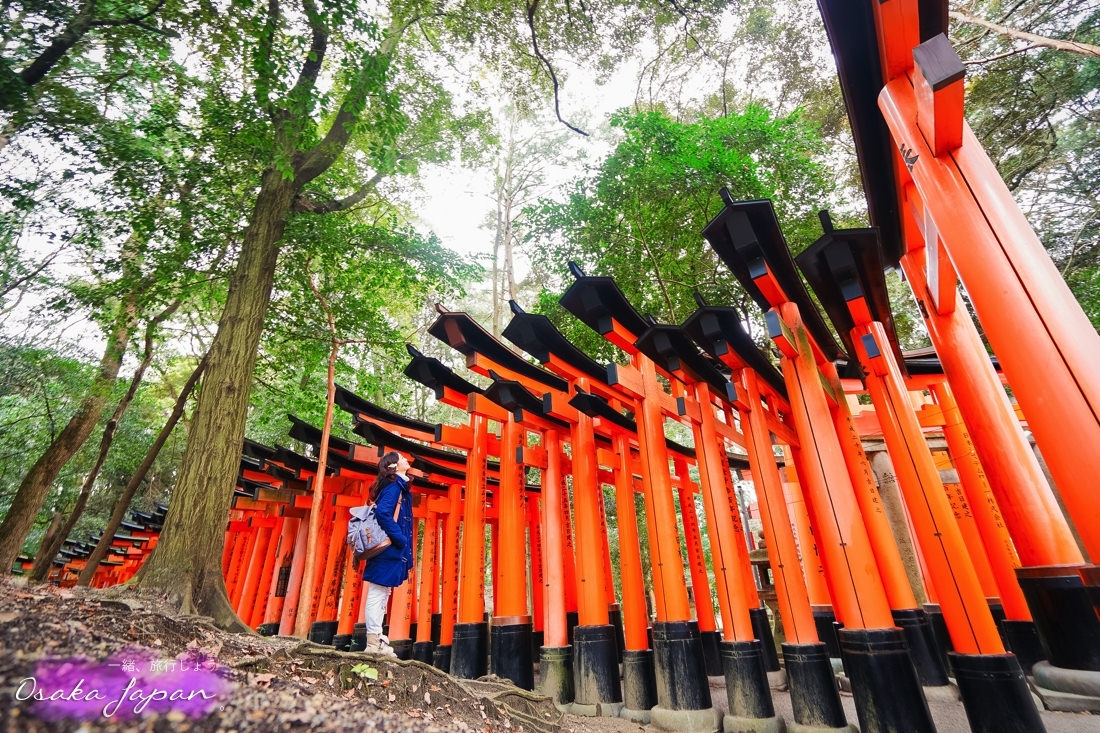 京都自由行,京都神社,京都好玩,京都景點,京都飯店推薦,京都住宿推薦,京都伏見稻荷