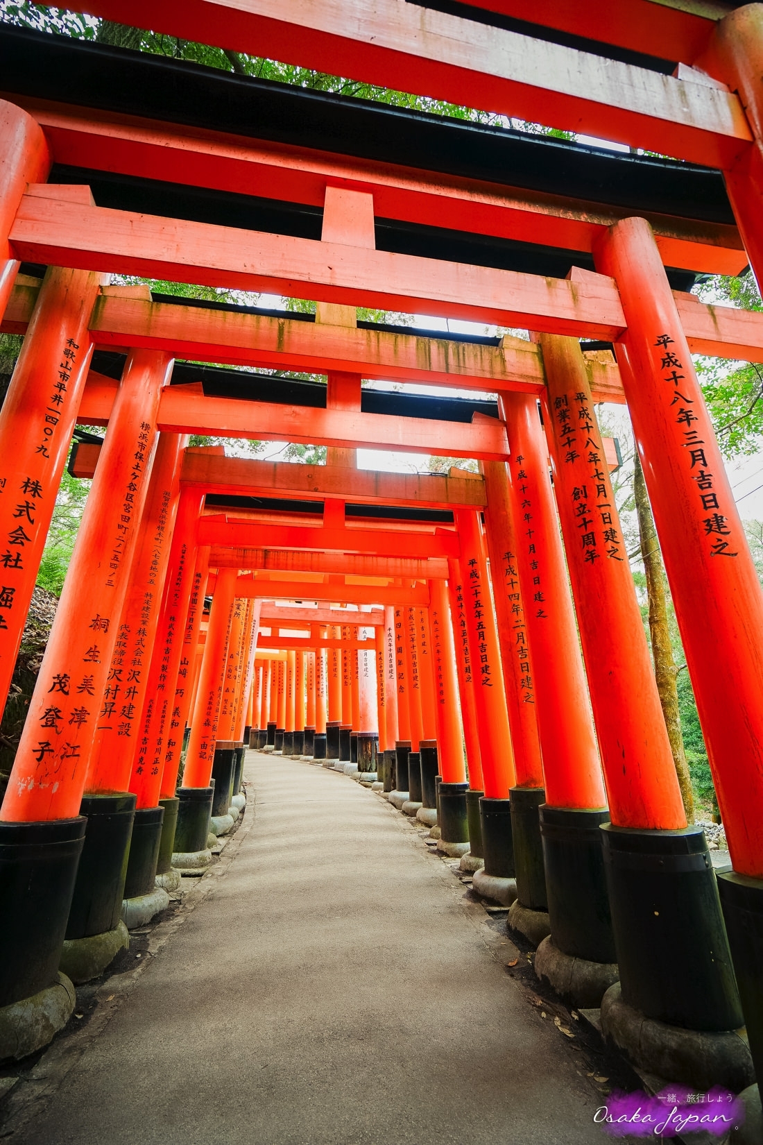 京都自由行,京都神社,京都好玩,京都景點,京都飯店推薦,京都住宿推薦,京都伏見稻荷