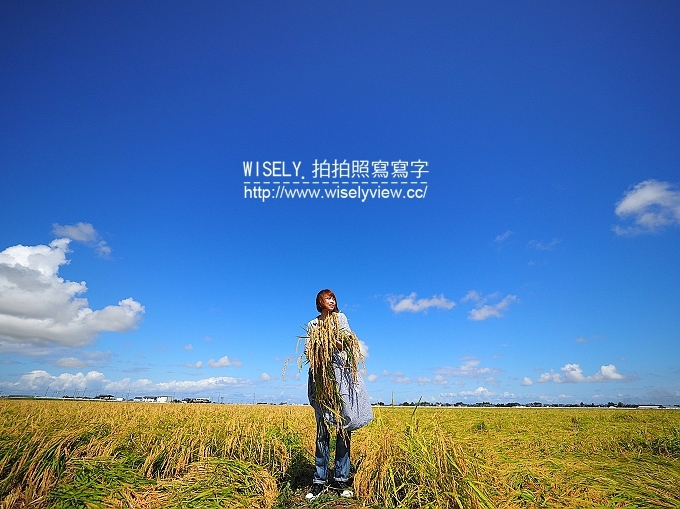 【旅行】日本新潟。JR東日本自由行：JR新潟農場收割體驗，新潟市區用餐策散(鍋茶屋-光琳、古町通、丸伊壽司)，La Bistecca農家餐廳，岩室溫泉(住宿)