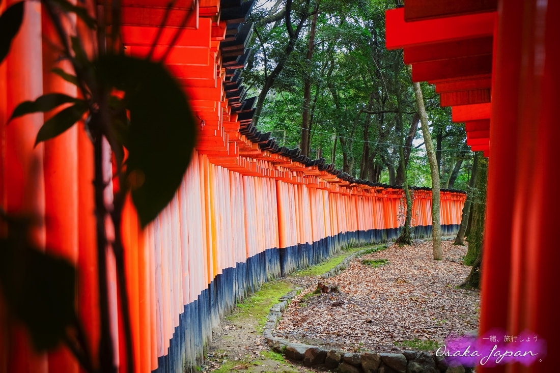 京都自由行,京都神社,京都好玩,京都景點,京都飯店推薦,京都住宿推薦,京都伏見稻荷