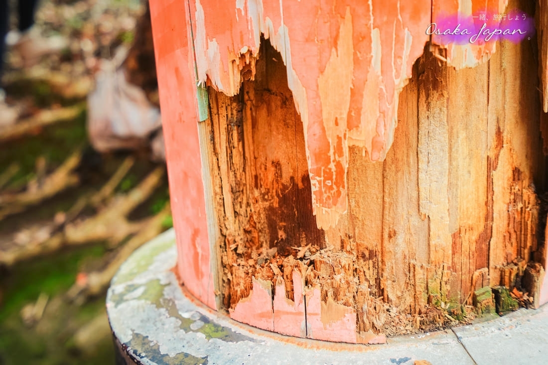 京都自由行,京都神社,京都好玩,京都景點,京都飯店推薦,京都住宿推薦,京都伏見稻荷