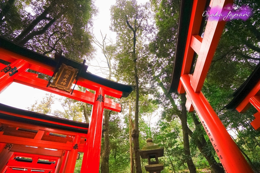 京都自由行,京都神社,京都好玩,京都景點,京都飯店推薦,京都住宿推薦,京都伏見稻荷