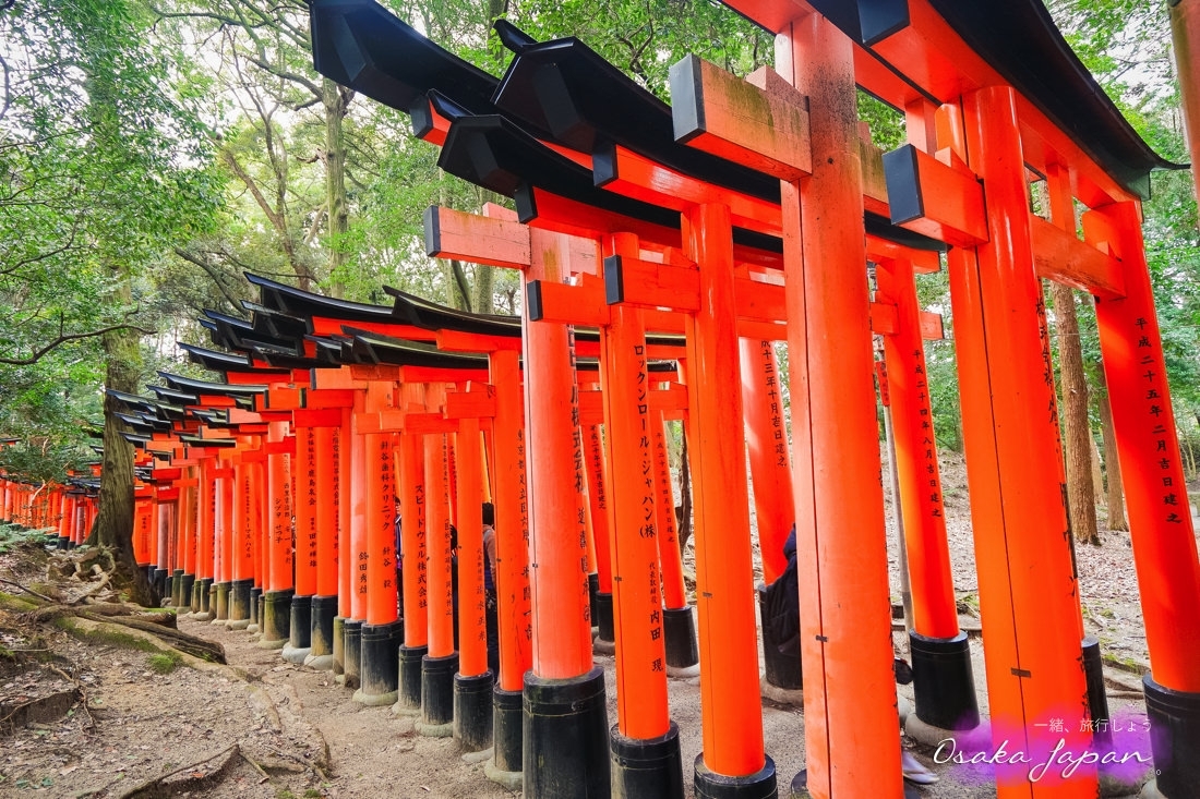 京都自由行,京都神社,京都好玩,京都景點,京都飯店推薦,京都住宿推薦,京都伏見稻荷