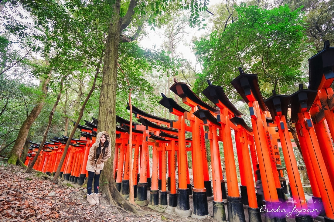 京都自由行,京都神社,京都好玩,京都景點,京都飯店推薦,京都住宿推薦,京都伏見稻荷