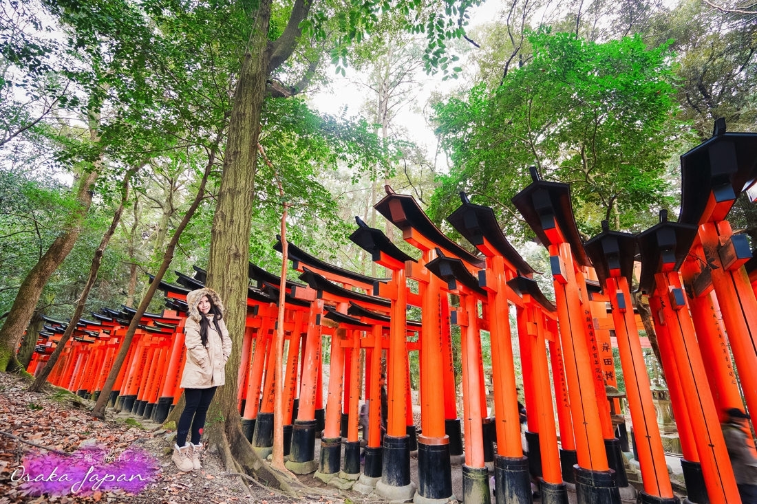 京都自由行,京都神社,京都好玩,京都景點,京都飯店推薦,京都住宿推薦,京都伏見稻荷