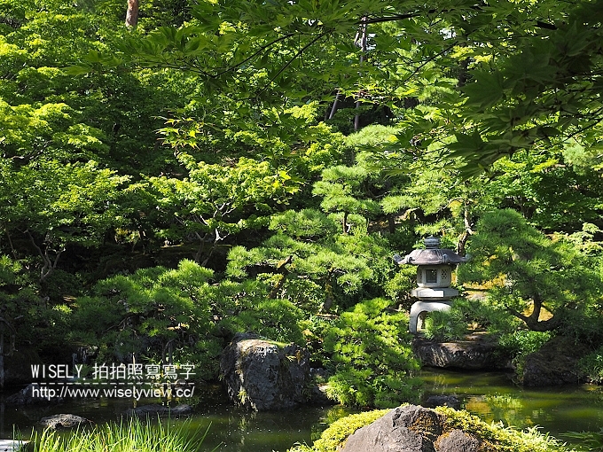 【旅行】日本新潟。JR東日本自由行：JR新潟農場收割體驗，新潟市區用餐策散(鍋茶屋-光琳、古町通、丸伊壽司)，La Bistecca農家餐廳，岩室溫泉(住宿)