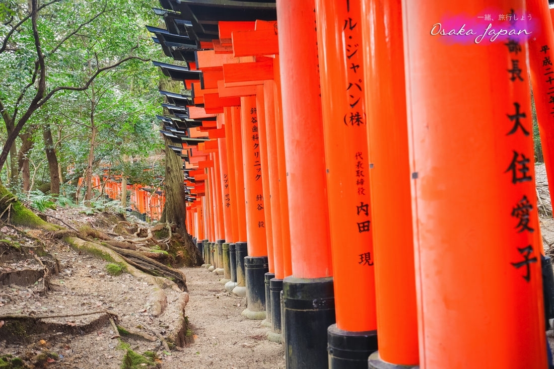 京都自由行,京都神社,京都好玩,京都景點,京都飯店推薦,京都住宿推薦,京都伏見稻荷