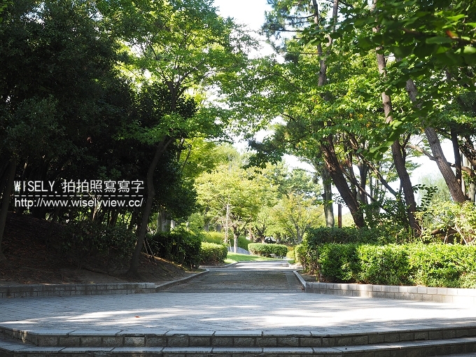 【旅行】日本新潟。JR東日本自由行：JR新潟農場收割體驗，新潟市區用餐策散(鍋茶屋-光琳、古町通、丸伊壽司)，La Bistecca農家餐廳，岩室溫泉(住宿)