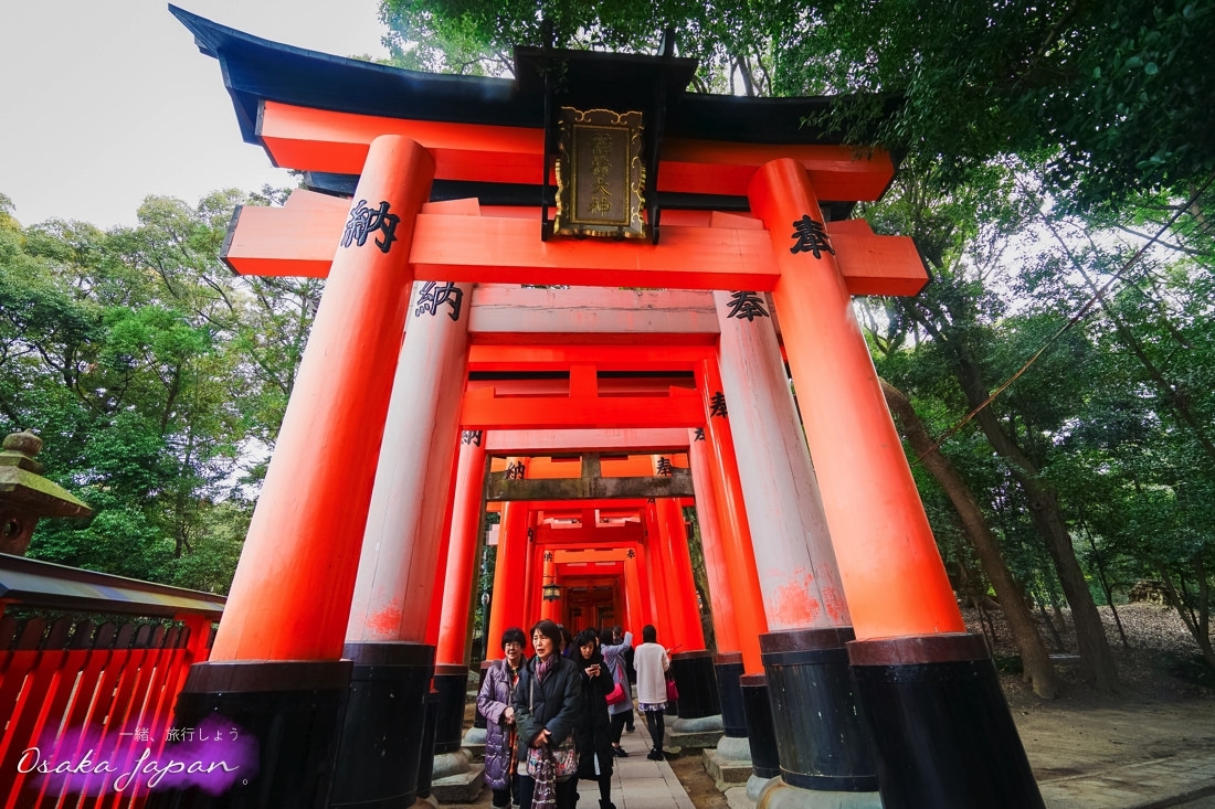 京都自由行,京都神社,京都好玩,京都景點,京都飯店推薦,京都住宿推薦,京都伏見稻荷