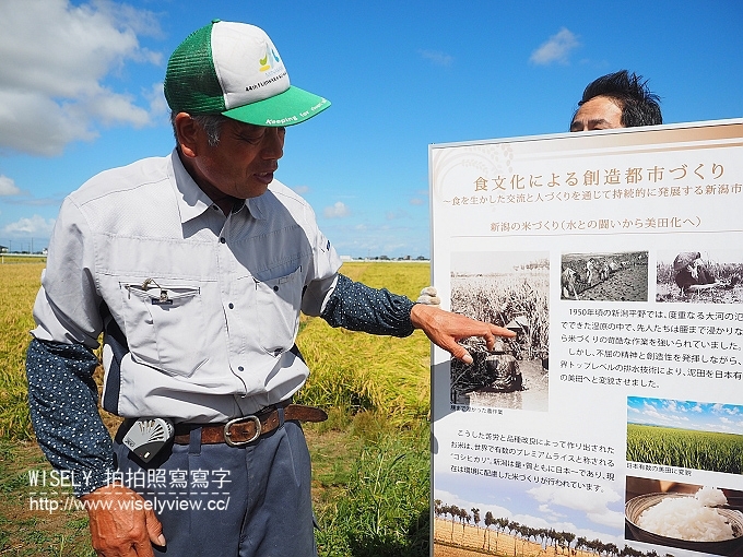 【旅行】日本新潟。JR東日本自由行：JR新潟農場收割體驗，新潟市區用餐策散(鍋茶屋-光琳、古町通、丸伊壽司)，La Bistecca農家餐廳，岩室溫泉(住宿)