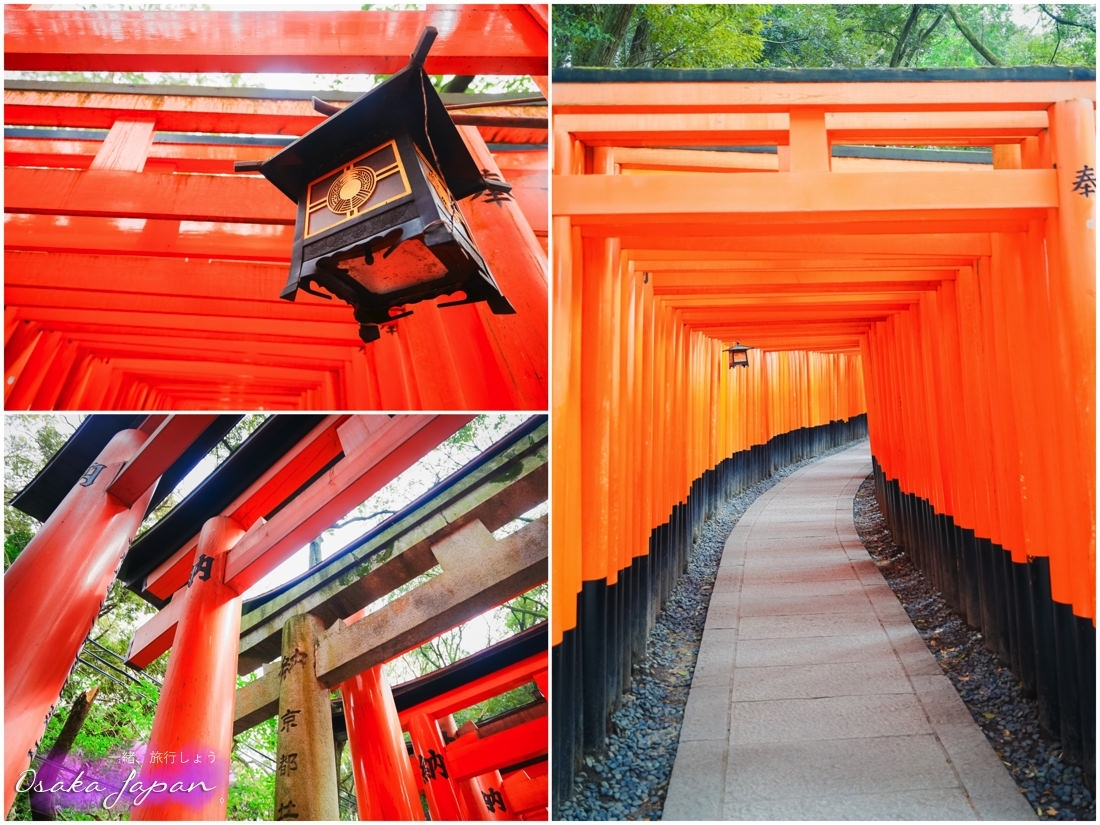 京都自由行,京都神社,京都好玩,京都景點,京都飯店推薦,京都住宿推薦,京都伏見稻荷
