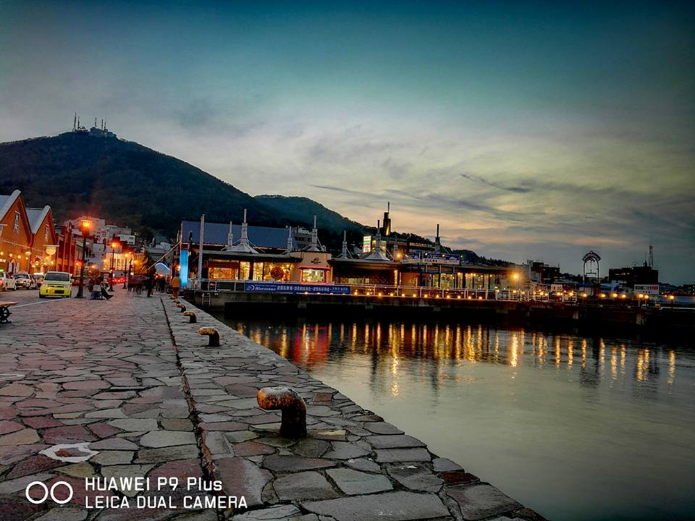 14657479_10206196601348598_8198523668859716469_n