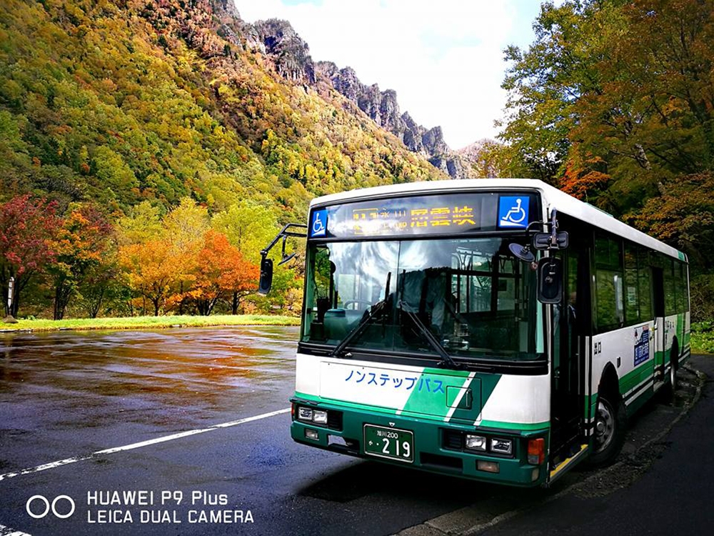 14601032_10206139239634591_5995422244667007727_n