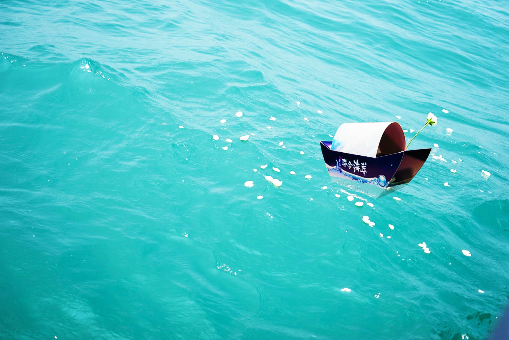 台北市殯葬新選擇｜花葬、樹葬與海葬