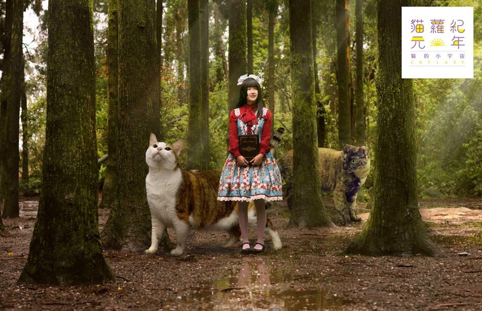 %e6%b1%aa%e6%9d%b1%e5%9f%8e%e8%b4%8a%e5%8a%a9%e7%9a%84%e9%bb%9e%e8%b4%8a%e6%88%90%e9%87%91%e7%85%a7%e7%89%87