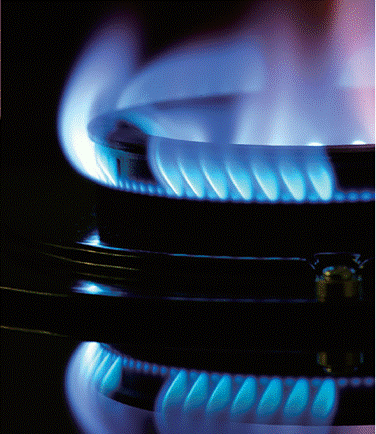 clip_image004 clip_image004