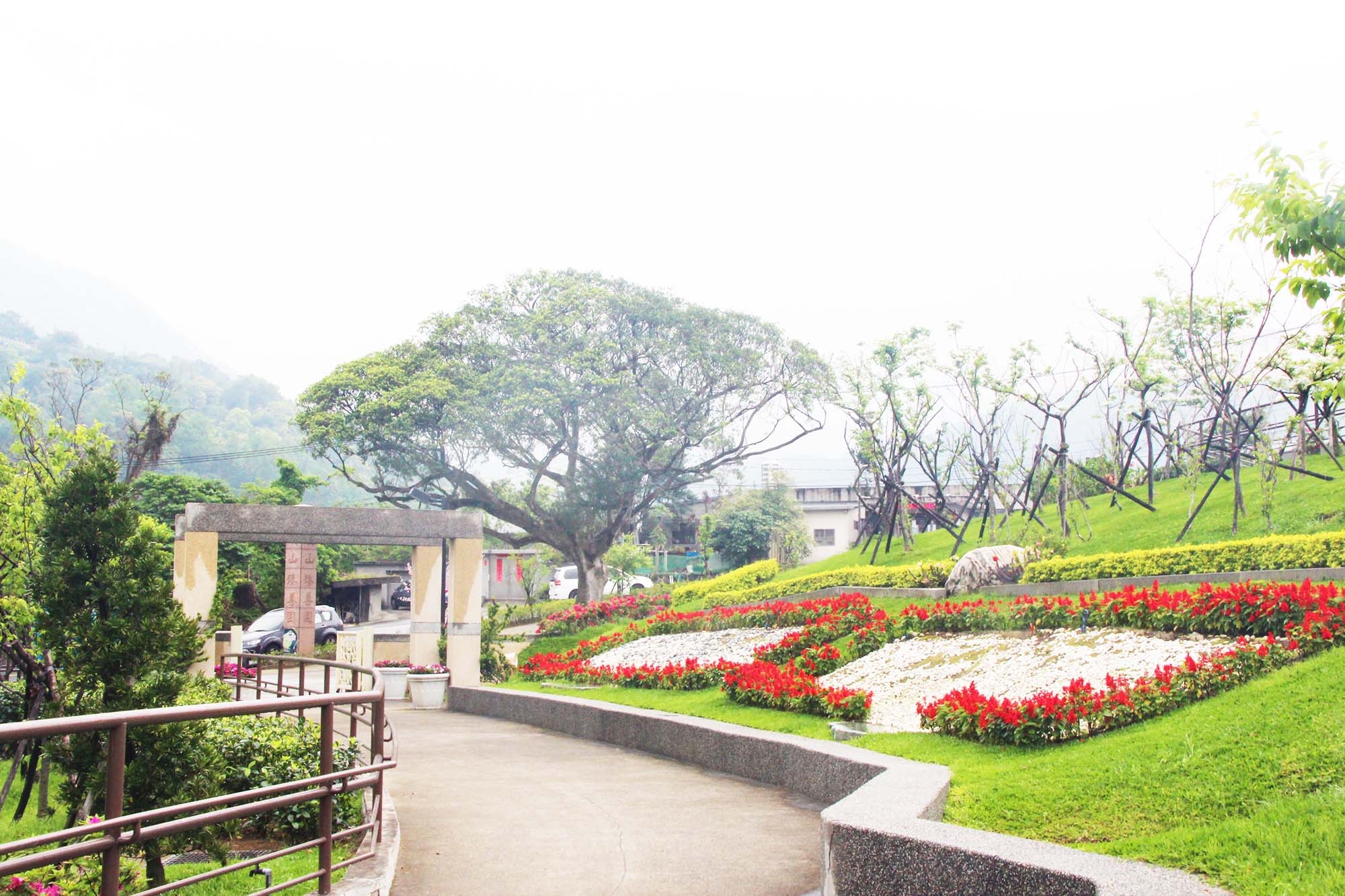 台北市殯葬新選擇｜花葬、樹葬與海葬