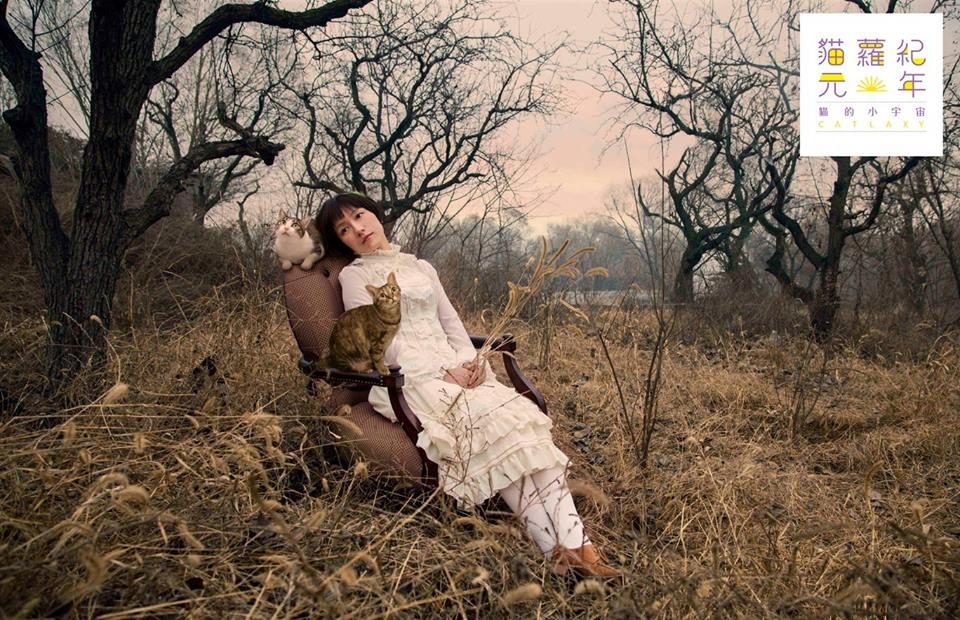 %e5%ad%ab%e5%84%b7%e8%b4%8a%e5%8a%a9%e7%9a%84%e9%bb%9e%e8%b4%8a%e6%88%90%e9%87%91%e7%85%a7%e7%89%87