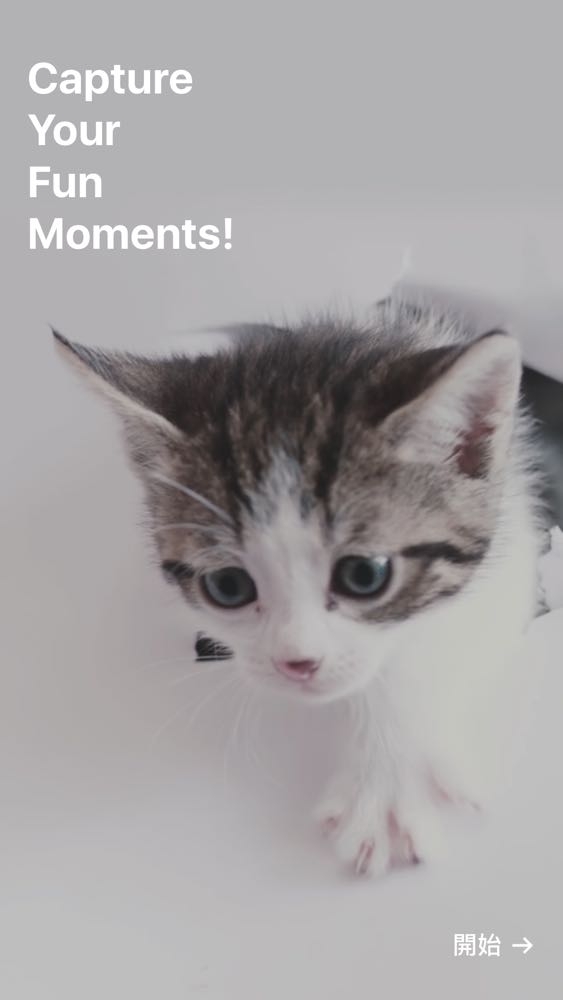 %e7%9b%b8%e7%89%87-2016-11-12-%e4%b8%8b%e5%8d%883-24-46