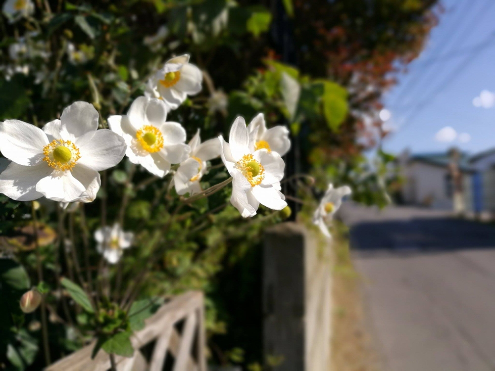 15033972_10206369144302064_1317266837_o