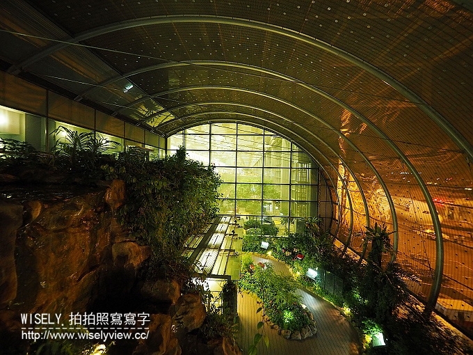 《新加坡樟宜機場第一航廈：轉機體驗與方便設施》搭乘廉航捷星航空JETSTAR輕鬆玩峇里島