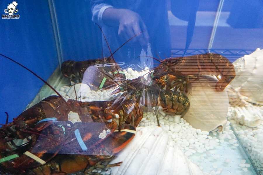 覓奇頂級料理 Michelin House (36 - 43).jpg 覓奇頂級料理 Michelin House (36 - 43).jpg