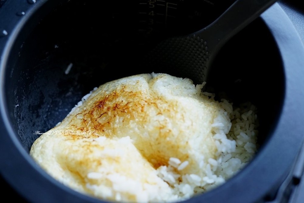 TIGER炊飯電子鍋 (20)