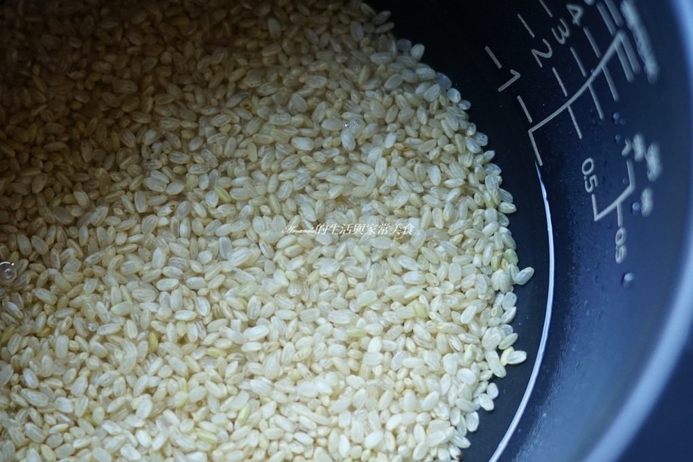 TIGER炊飯電子鍋 (14)