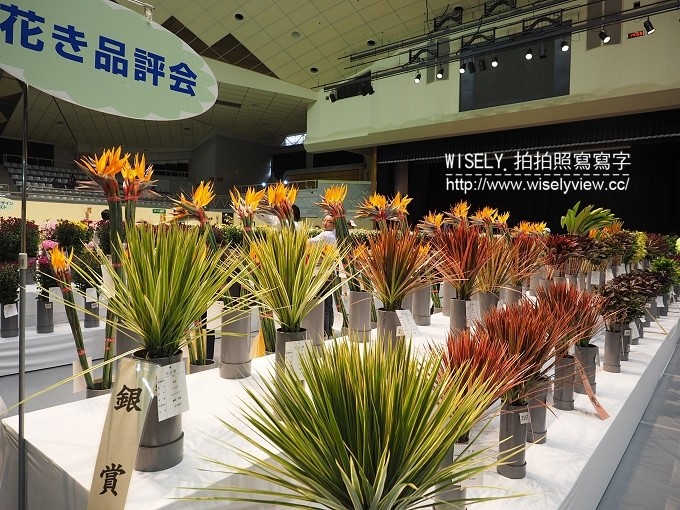 《日本沖繩自由行。景點／美食／祭典／購物／住宿 3-1》那霸機場、壺屋通、花和美食的活動、RYUBO 琉貿百貨、Mati-Café、COMMUNITY＆SPA那覇