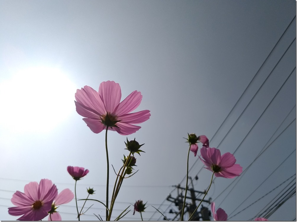 P_20170219_112525_vHDR_Auto