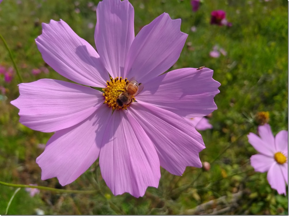 P_20170219_112431_vHDR_Auto