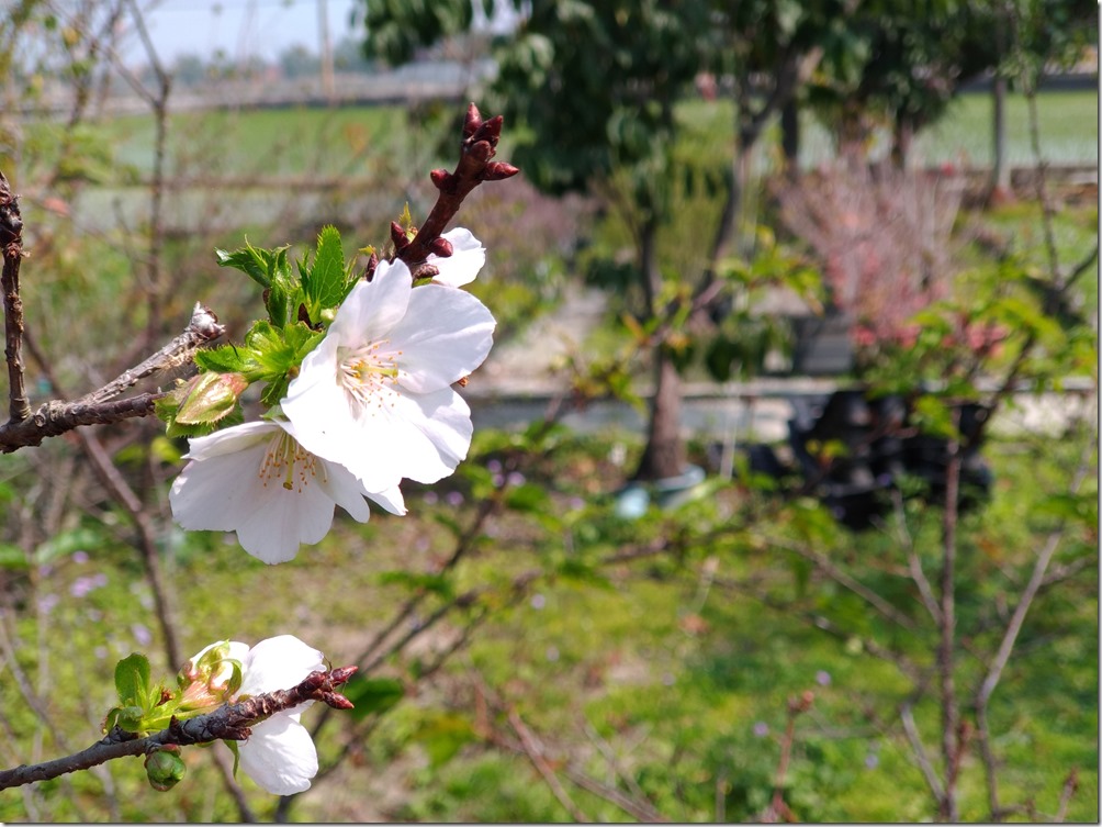 P_20170219_110406_vHDR_Auto