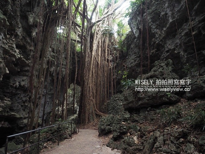 《日本沖繩自由行。景點／美食／祭典／購物／住宿 3-2》山の茶屋樂水／玉城燒、糸滿漁民食堂、八重瀨公園／中本鮮魚店、自衛隊知念屯地／知念岬公園／Café Curcuma、鐘乳石洞Cave Café／Okinawa World、琉球新麺 通堂、萬國屋民泊(Airbnb)、國際通屋台村