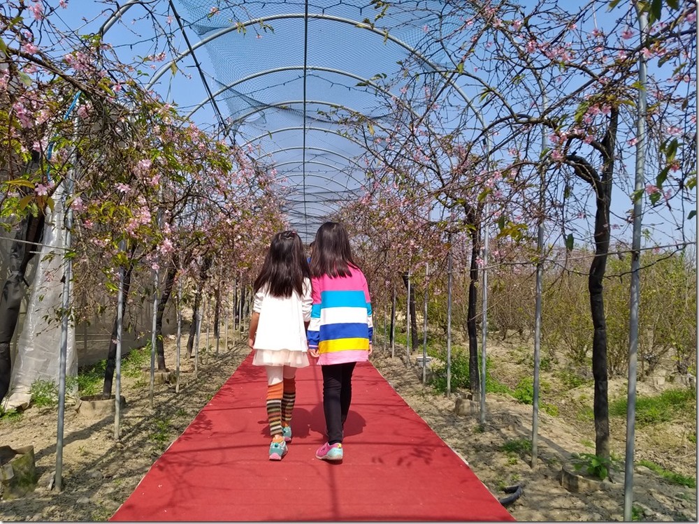 P_20170219_104705_vHDR_Auto