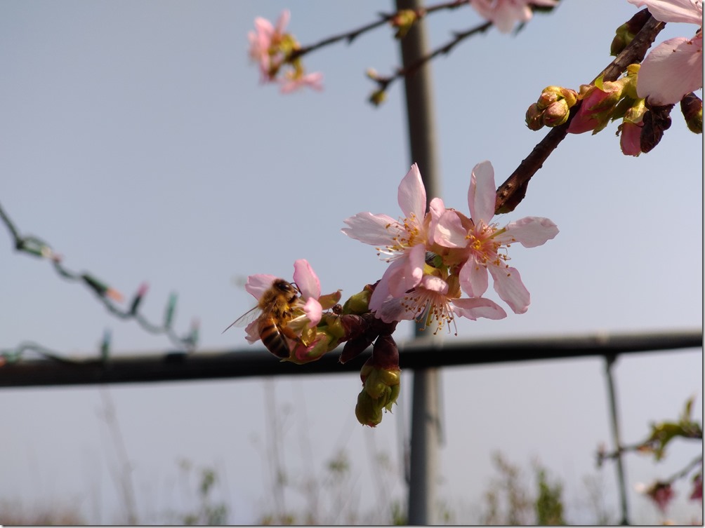 P_20170219_103109_vHDR_Auto